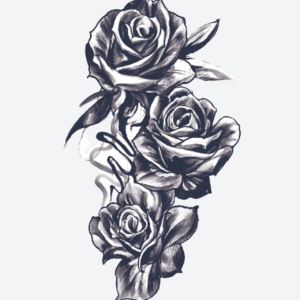 Elegant Roses