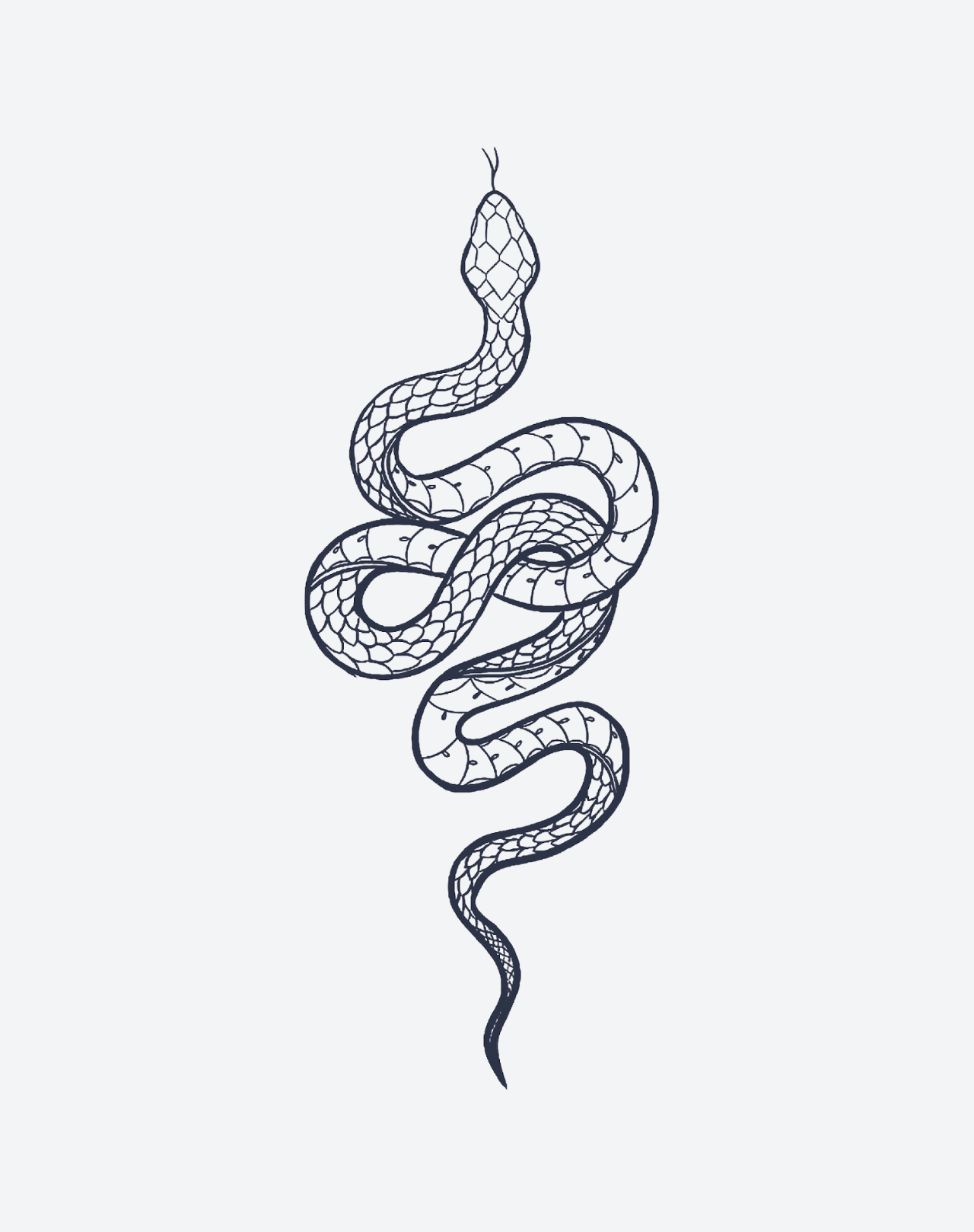 Snake Pack - Image 3