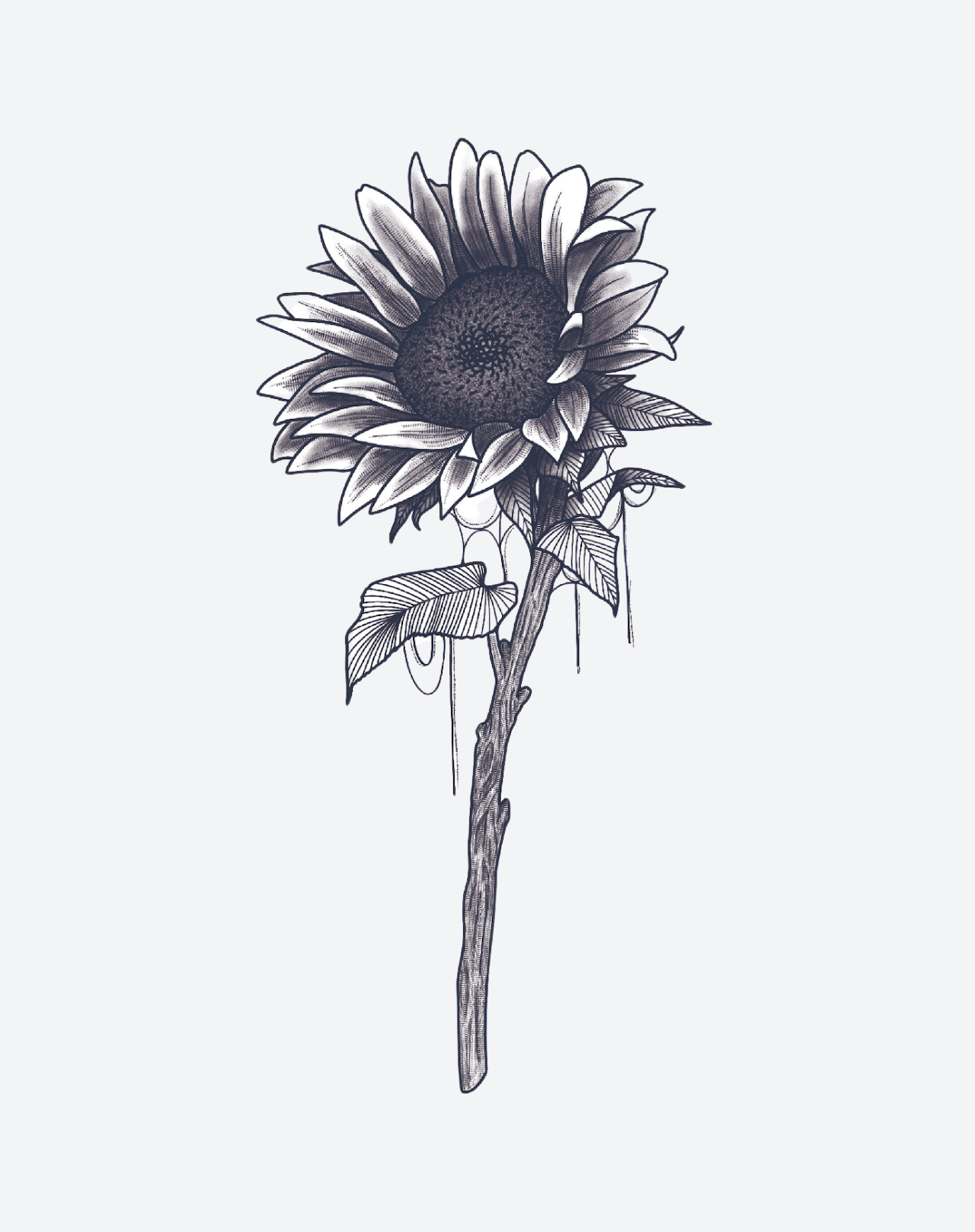 Nature's Peace Pack - Image 2